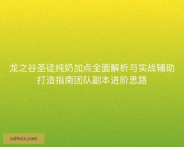 龙之谷圣徒纯奶加点全面解析与实战辅助打造指南团队副本进阶思路