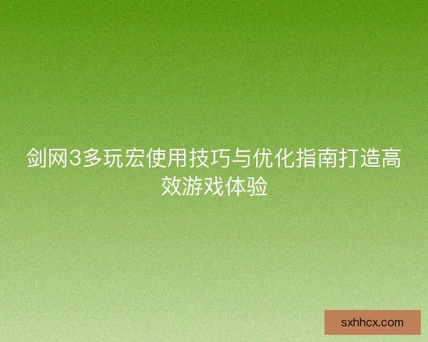 剑网3多玩宏使用技巧与优化指南打造高效游戏体验