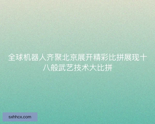 全球机器人齐聚北京展开精彩比拼展现十八般武艺技术大比拼